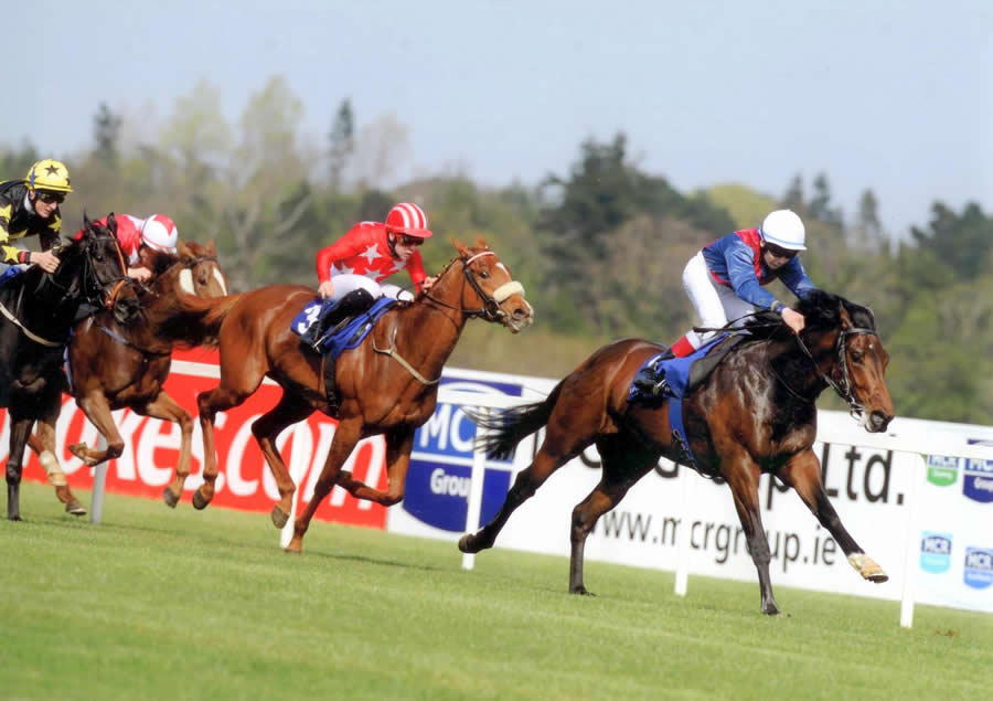 One Up One Down Leopardstown April 10